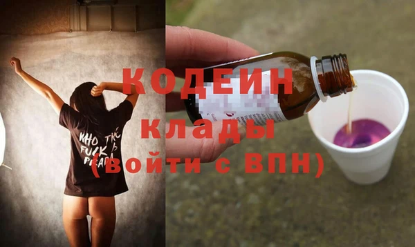 эйфоретик Арсеньев