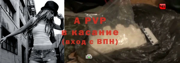 эйфоретик Арсеньев