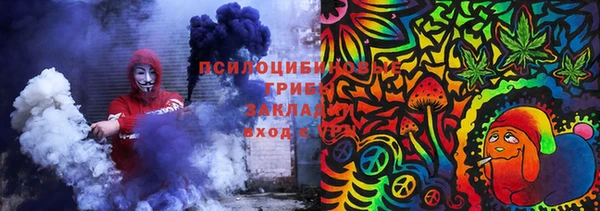 эйфоретик Арсеньев