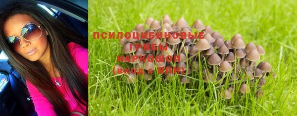 эйфоретик Арсеньев