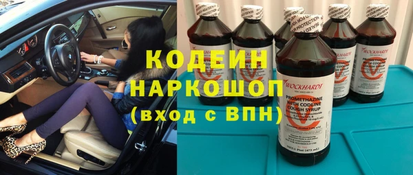 эйфоретик Арсеньев