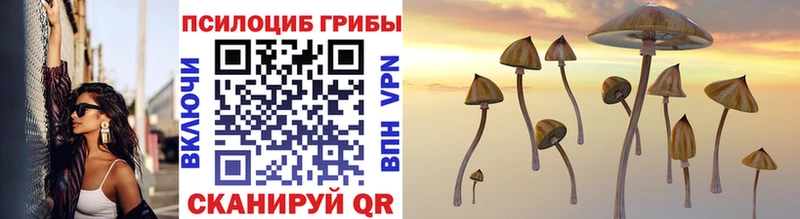 Галлюциногенные грибы мухоморы Рыбное